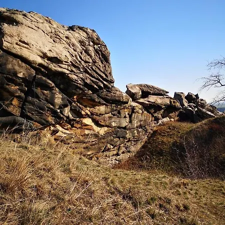 Dom wakacyjny Zum Holzmichel