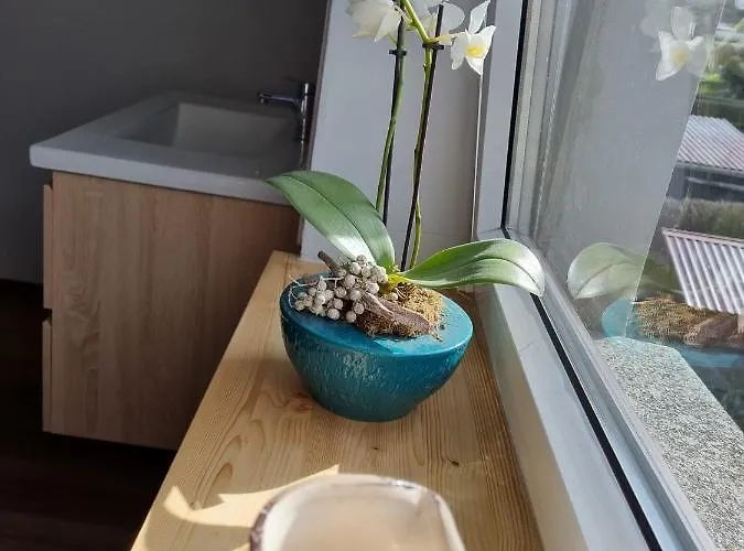 Zum Holzmichel Semesterbostad